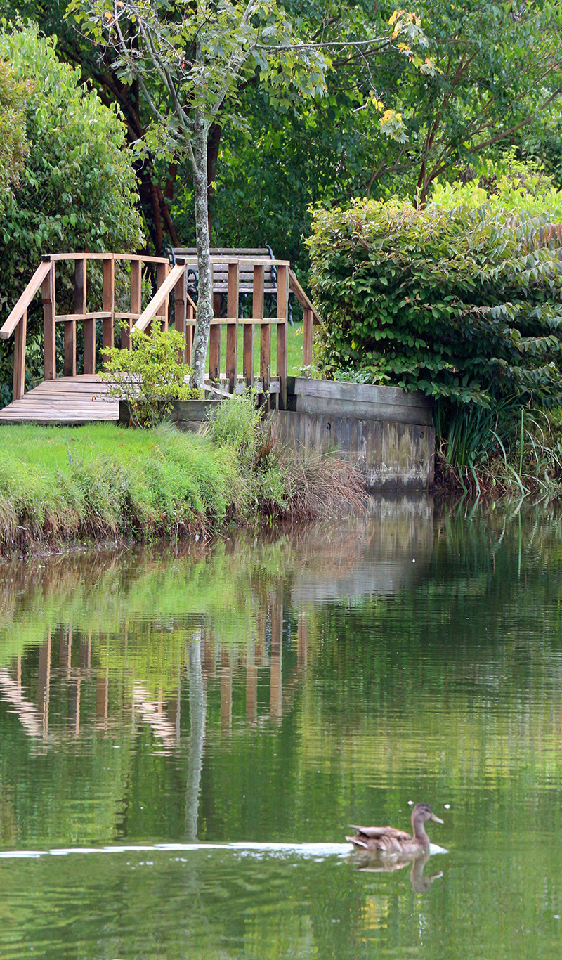 Foot Bridge