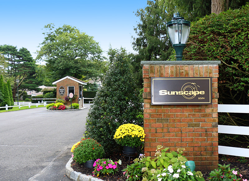 Welcome to sunscape