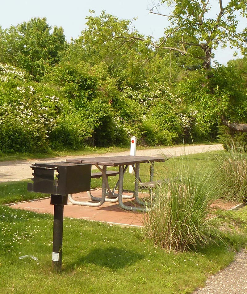 Picnic Area